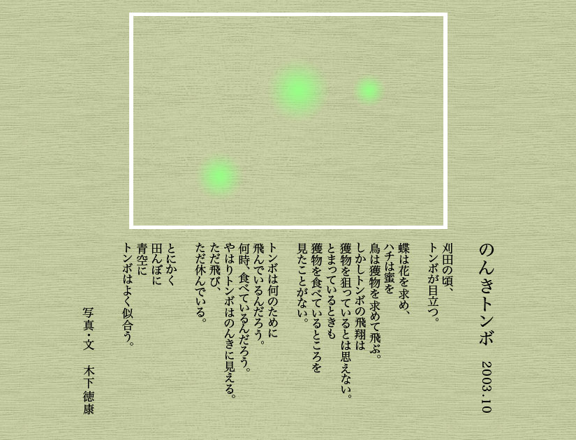 JA02-10xV.jpg