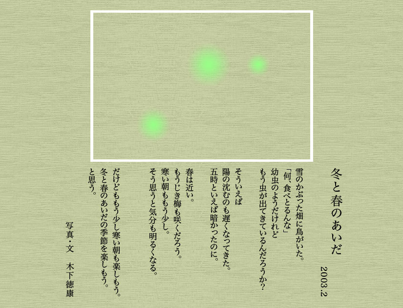 JA03-02xV.jpg